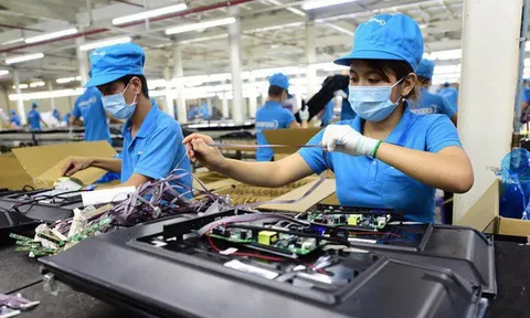 Lấy tiền từ chính công ty của mình để tiêu xài cá nhân, có bị tội?