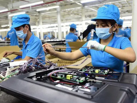 Lấy tiền từ chính công ty của mình để tiêu xài cá nhân, có bị tội?